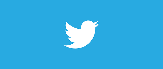Picture of Twitter Bird